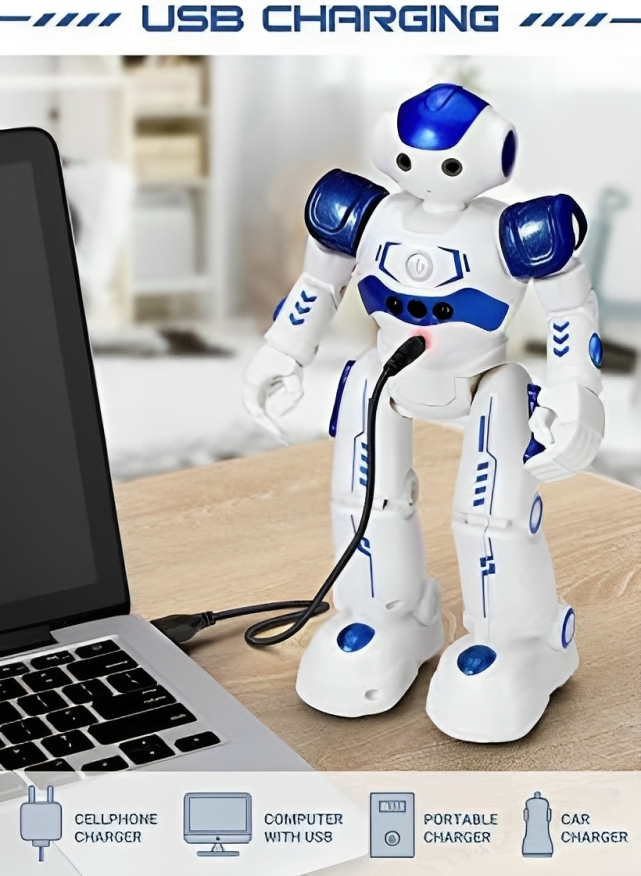 Smart Robot