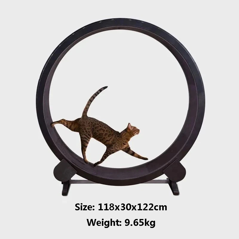 Cat's Runner