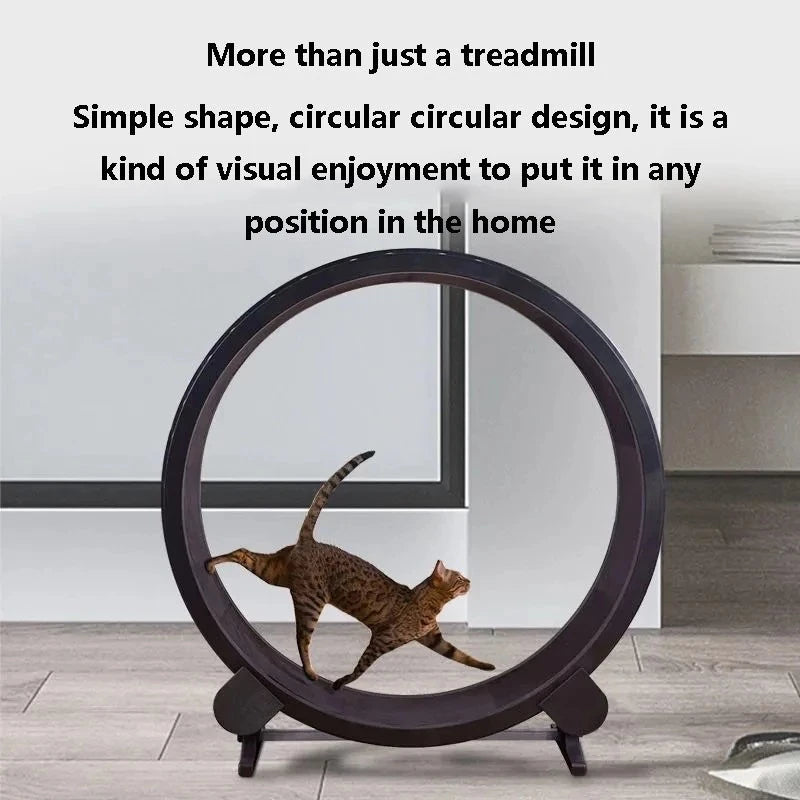 Cat's Runner
