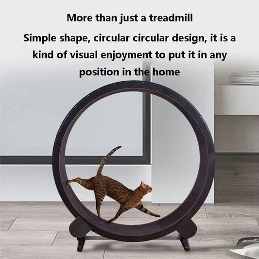 Cat's Runner